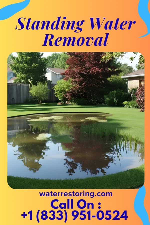 Standing Water Removal in Livingston, AL